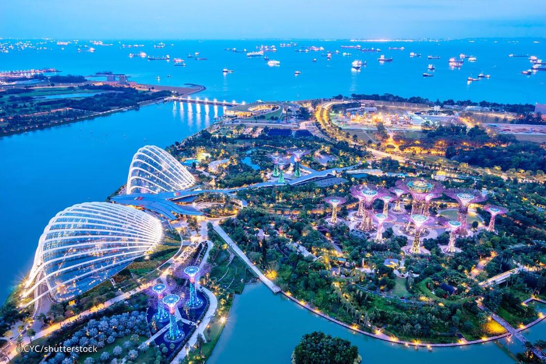 Singapur Asya'nın Dünya'ya Bağlanan Kapısı - World Expo Fair